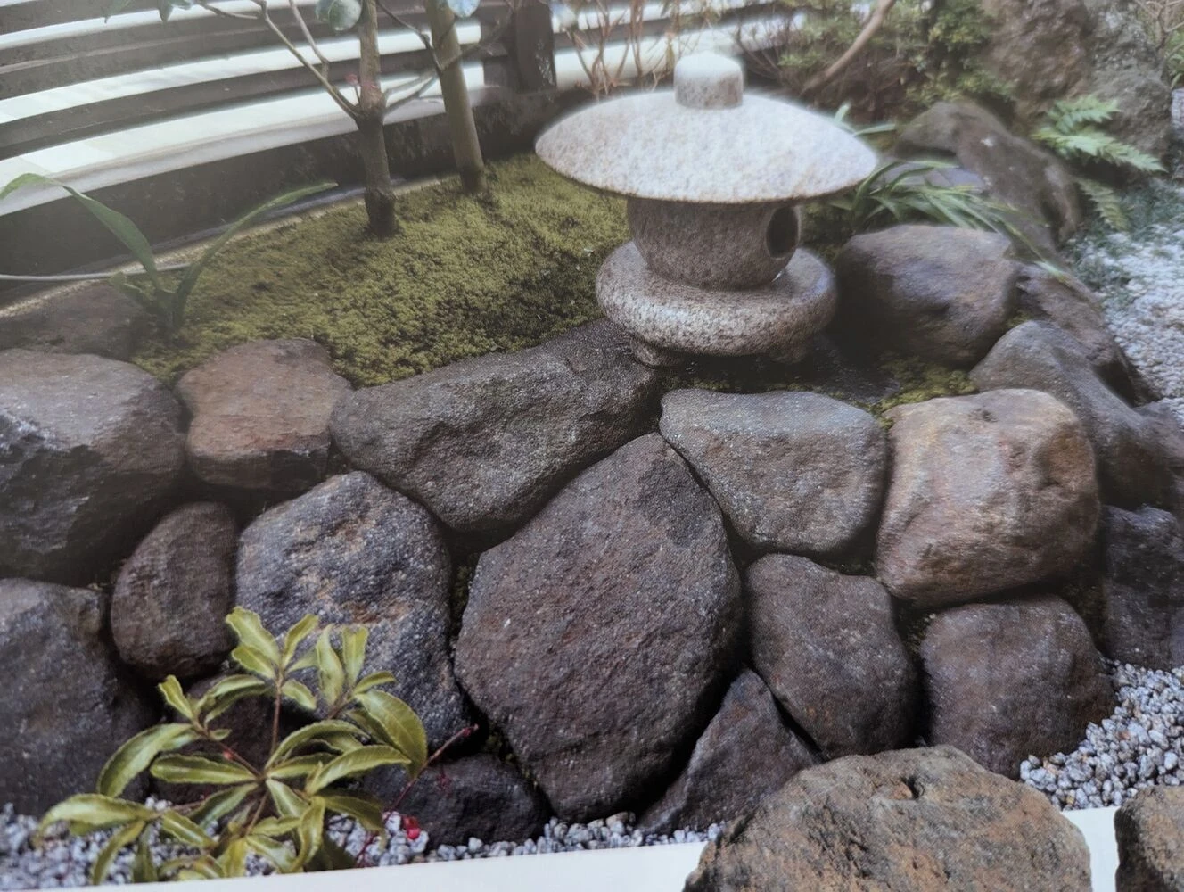 画像1837