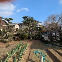 ブログ画像