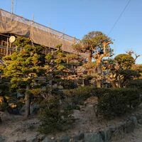 ブログ画像