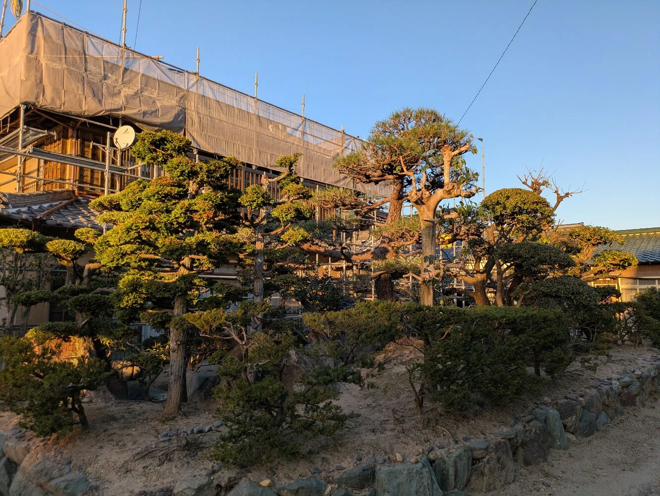 ブログ画像