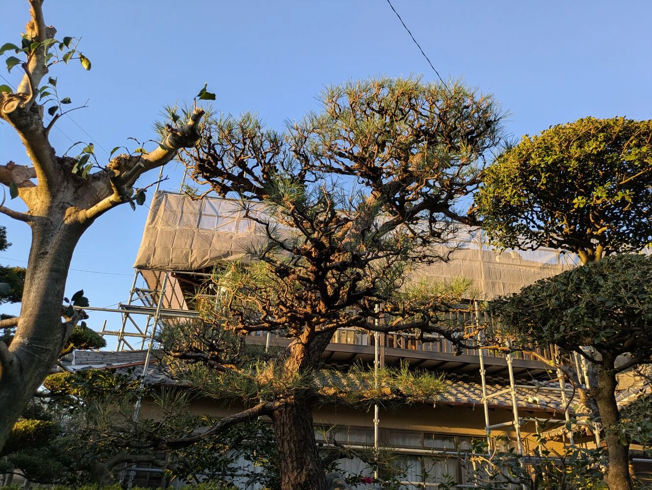 ブログ画像