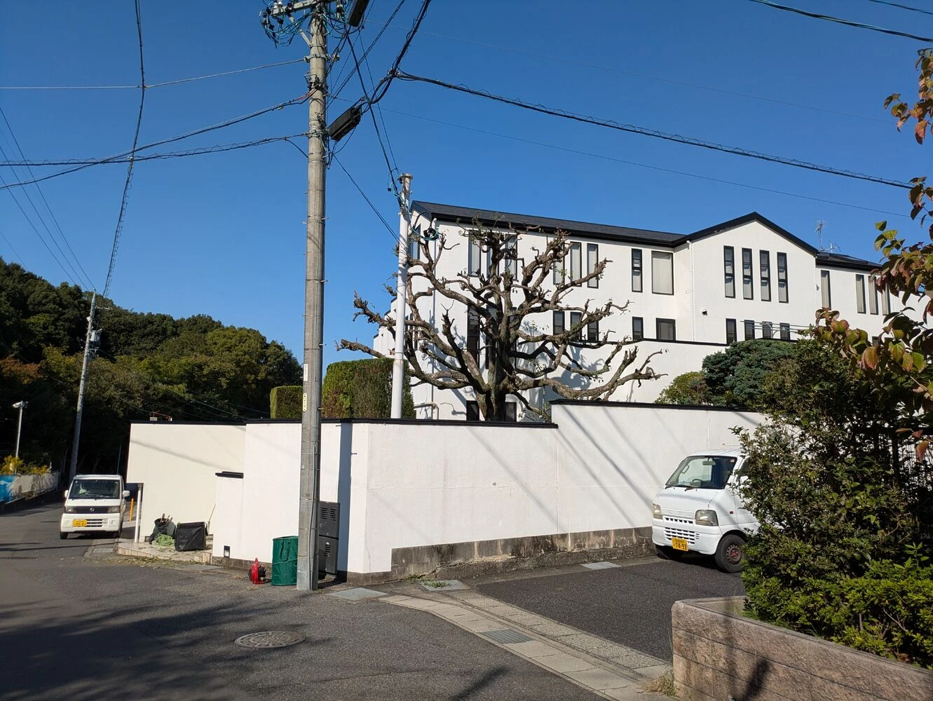 ブログ画像
