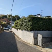 ブログ画像