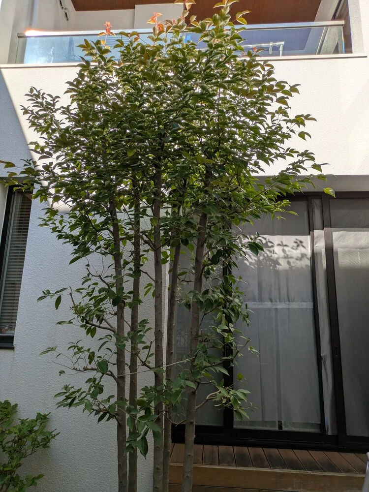 画像6489