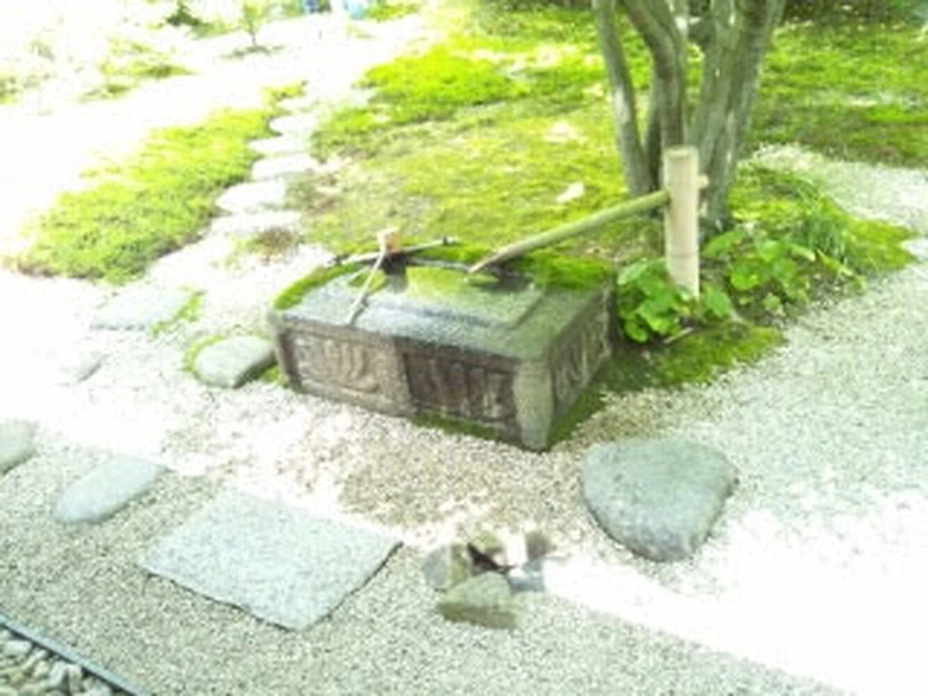 画像7384