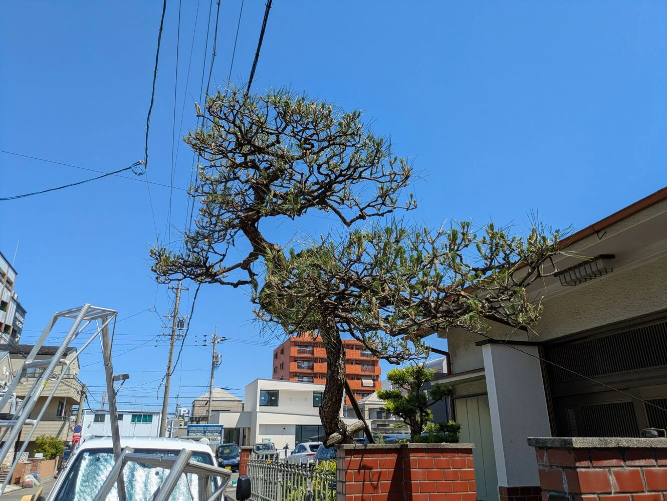 画像7661