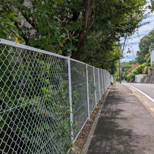 画像7665：剪定、草刈り、つる撤去作業