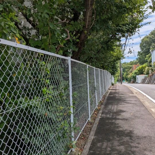 画像7665：剪定、草刈り、つる撤去作業