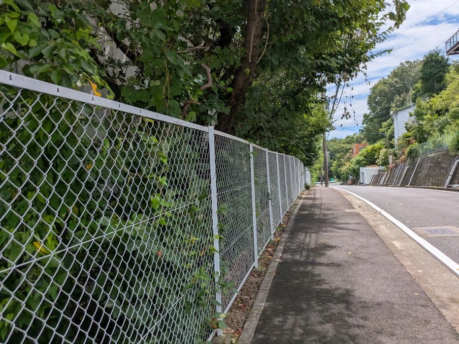 画像7665：剪定、草刈り、つる撤去作業