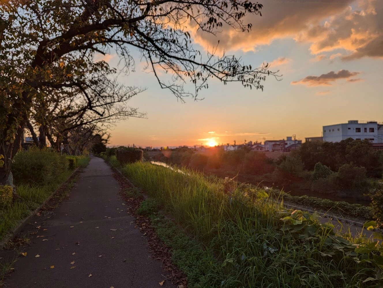 画像7722