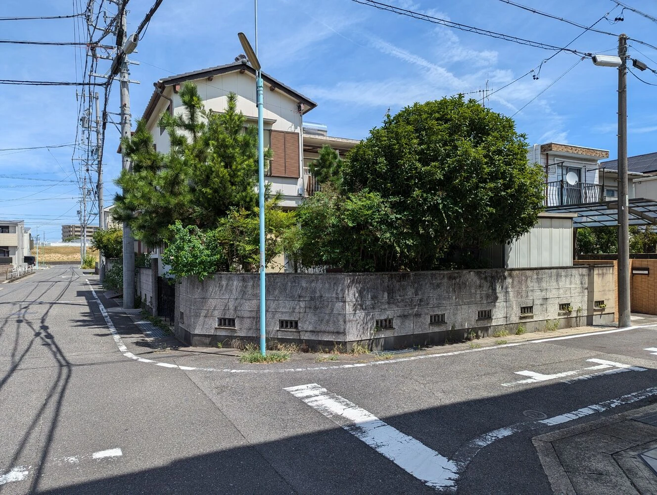 ブログ画像
