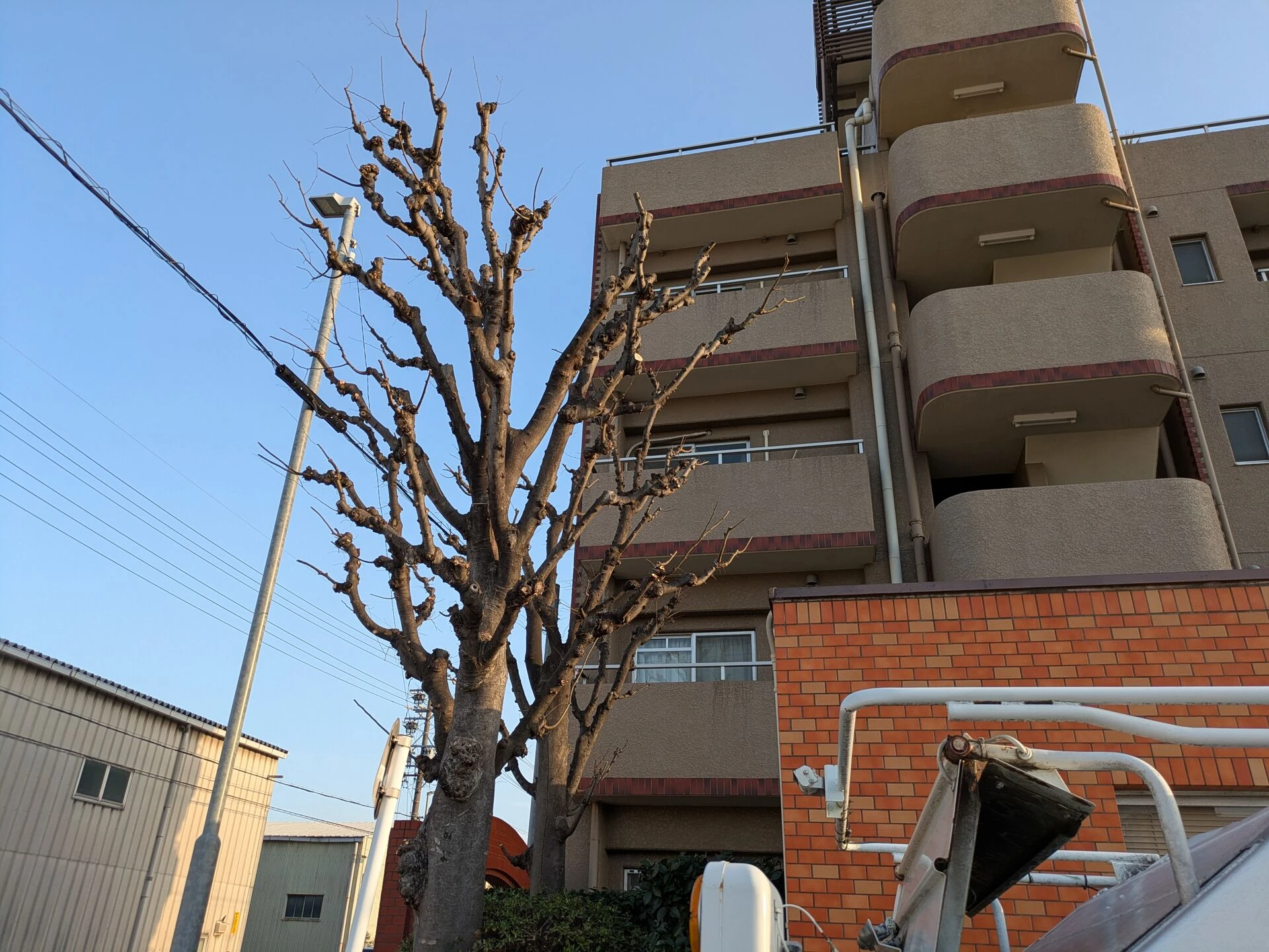 ブログ
