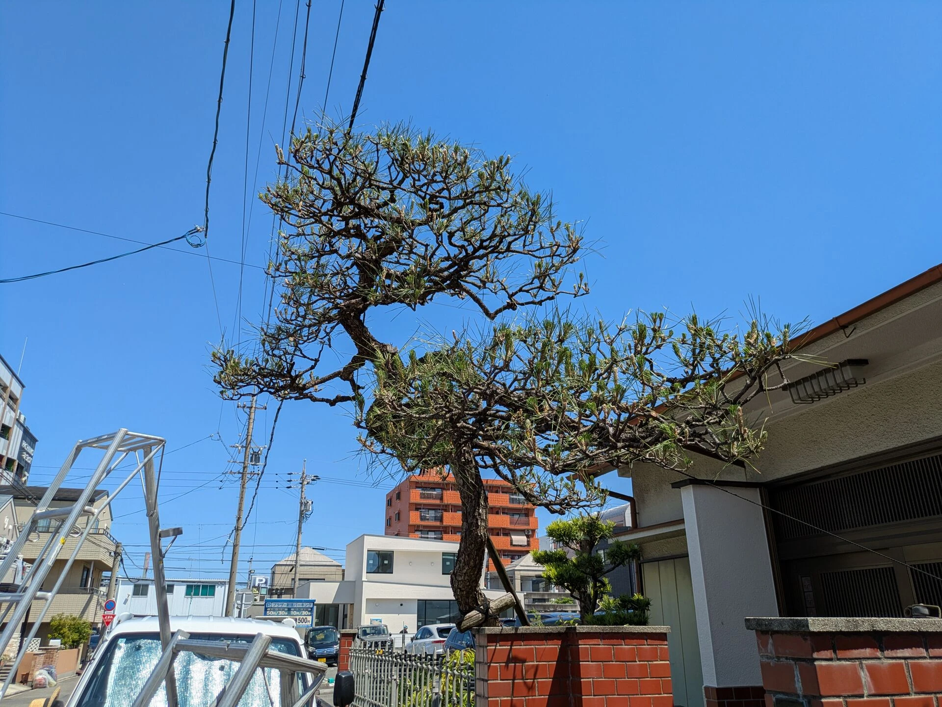 PXL_20260505_012701908.MP.jp