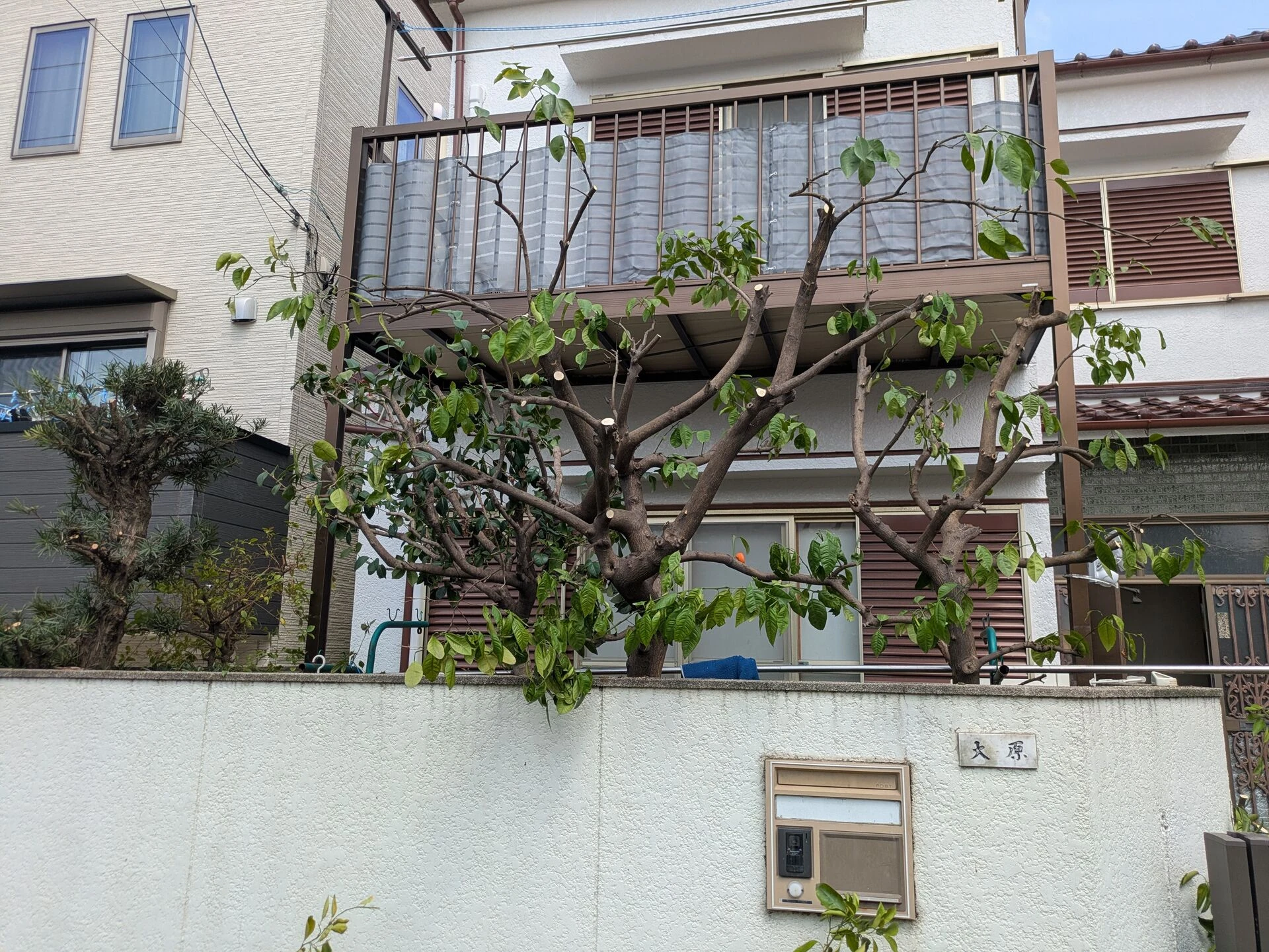 PXL_20260330_022655489.MP.jp